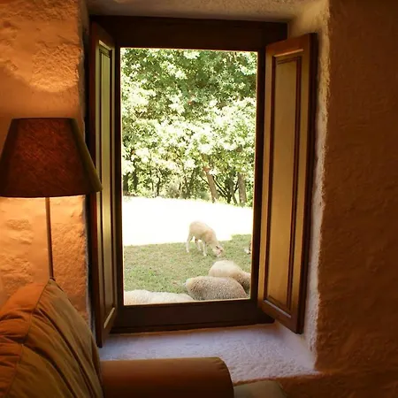 Sleeps 10 With Pool And Wifi Calheiros